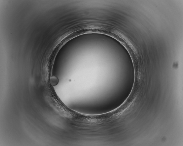 X0000097980829200803241257