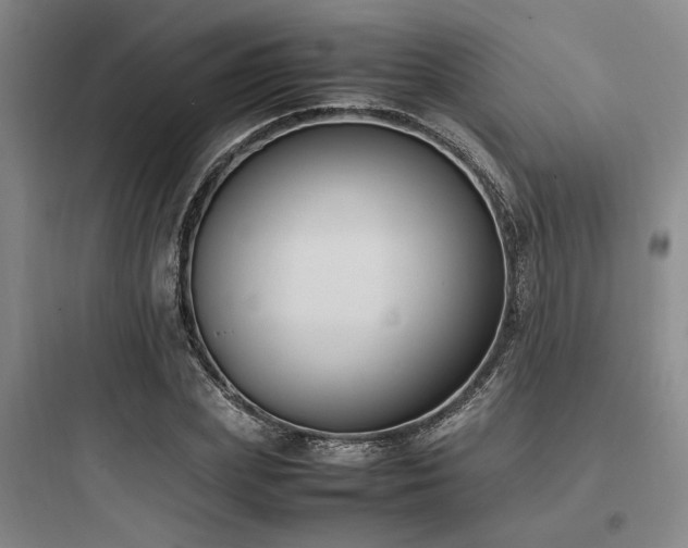 X0000097980831200803241257