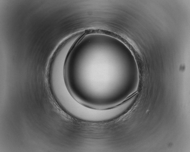 X0000097980832200803241257