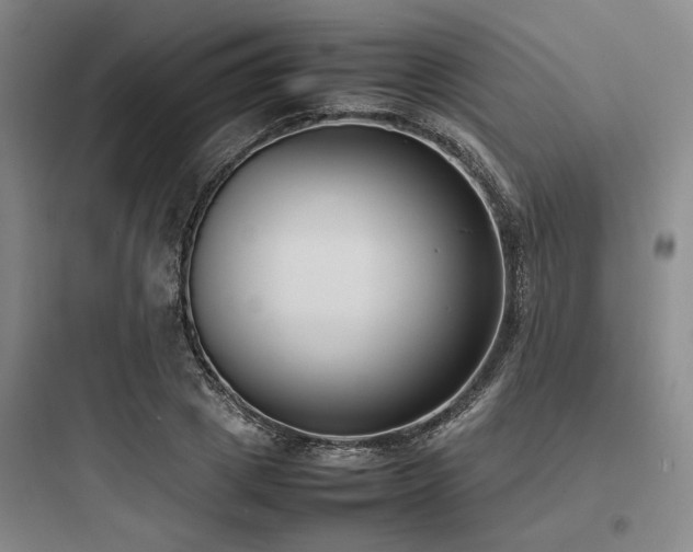 X0000097980833200803241257