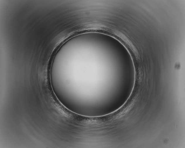 X0000097980834200803241257