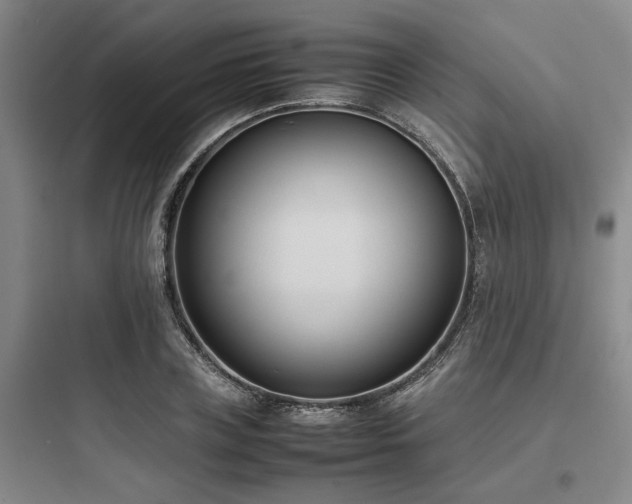 X0000097980835200803241257