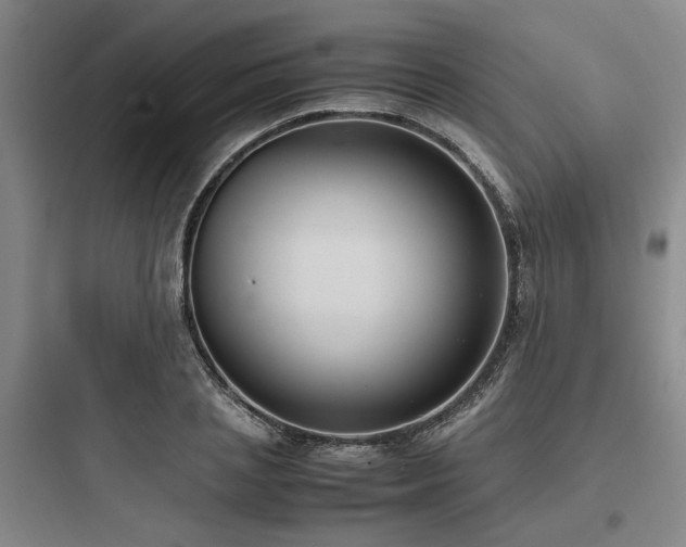X0000097980837200803241257
