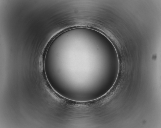 X0000097980838200803241257