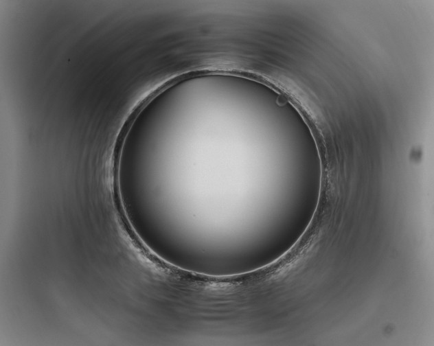 X0000097980839200803241257