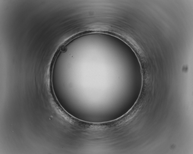 X0000097980840200803241257