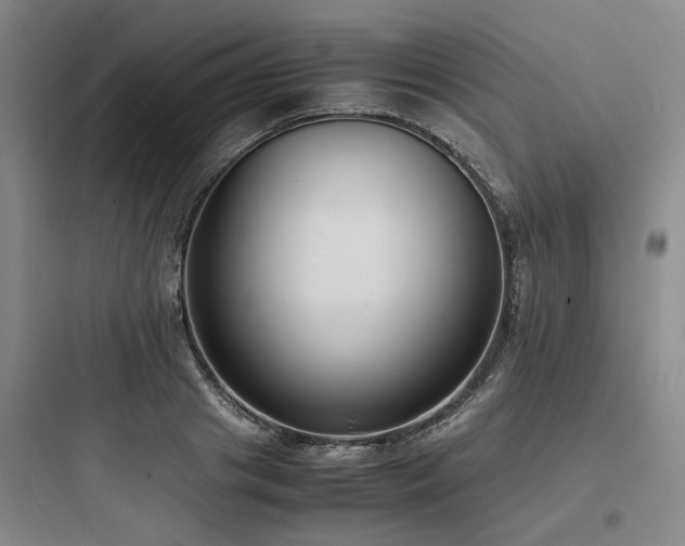 X0000097980841200803241257