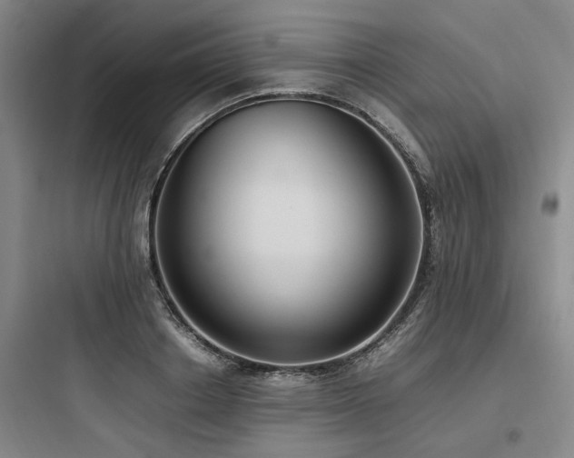 X0000097980842200803241257