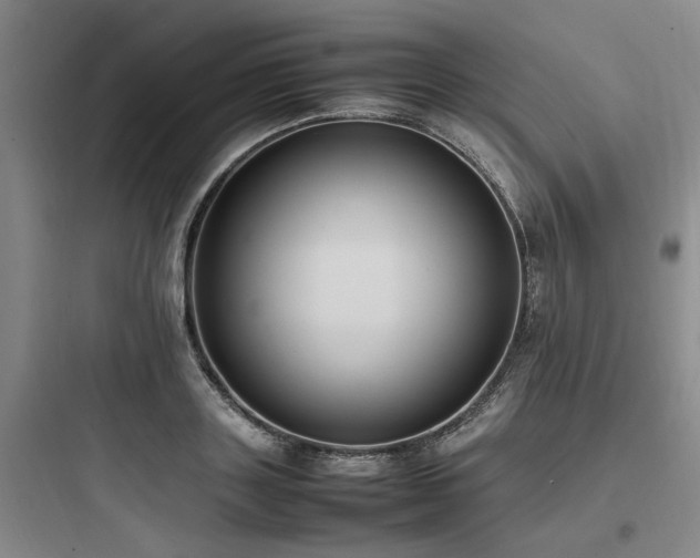 X0000097980843200803241257