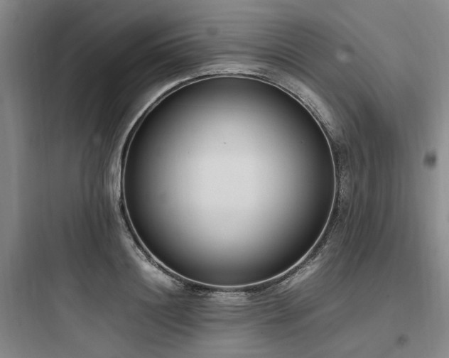 X0000097980844200803241257