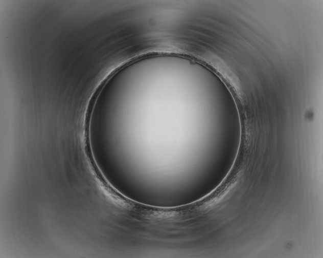 X0000097980845200803241257