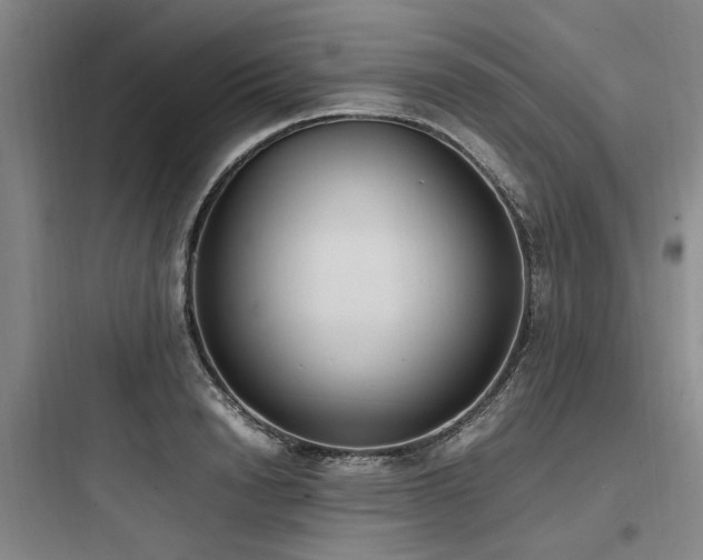 X0000097980846200803241257