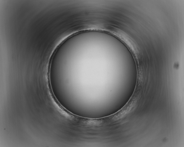 X0000097980847200803241257