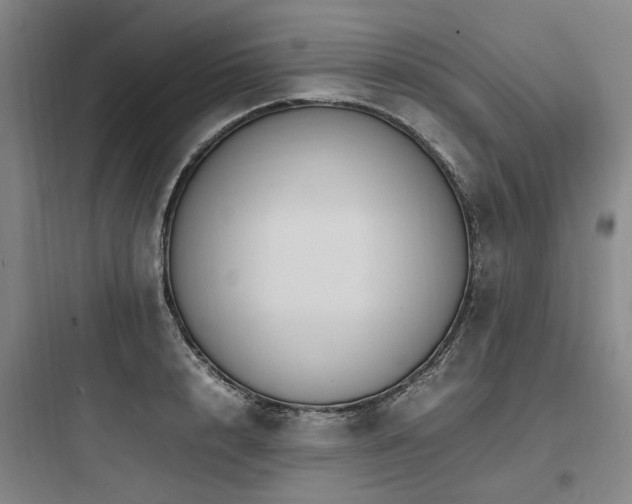 X0000097980848200803241257