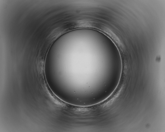 X0000097980849200803241257