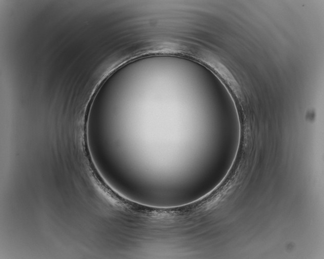 X0000097980850200803241257