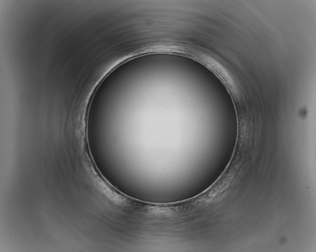 X0000097980852200803241257