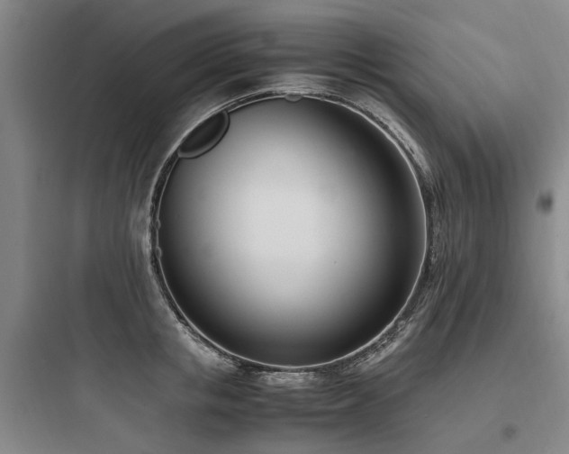 X0000097980853200803241257