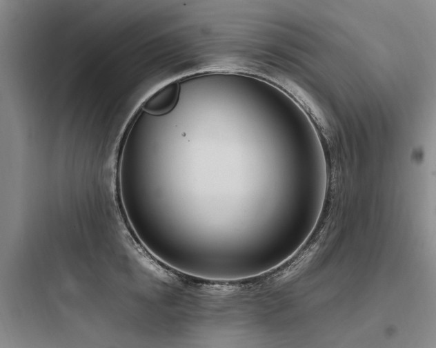 X0000097980854200803241257