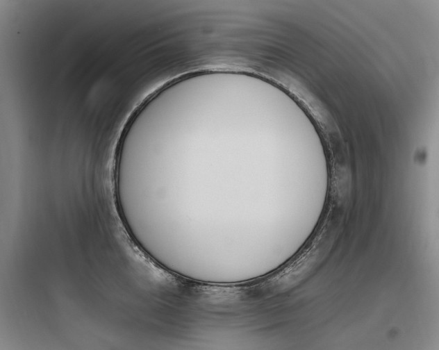 X0000097980856200803241257