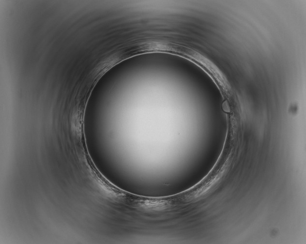 X0000097980857200803241258