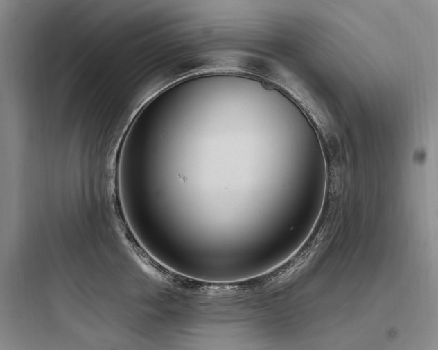 X0000097980858200803241258