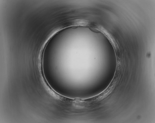 X0000097980859200803241258