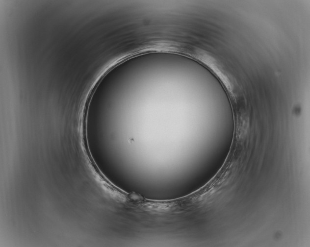 X0000097980861200803241258
