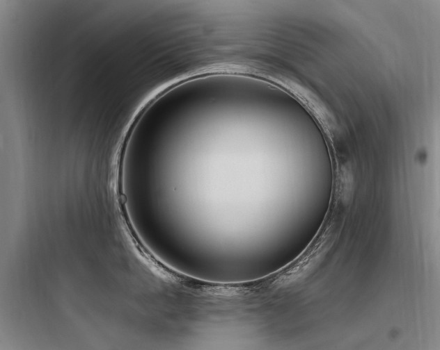 X0000097980862200803241258