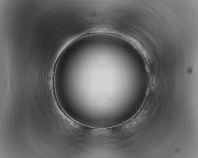 X0000097980863200803241258