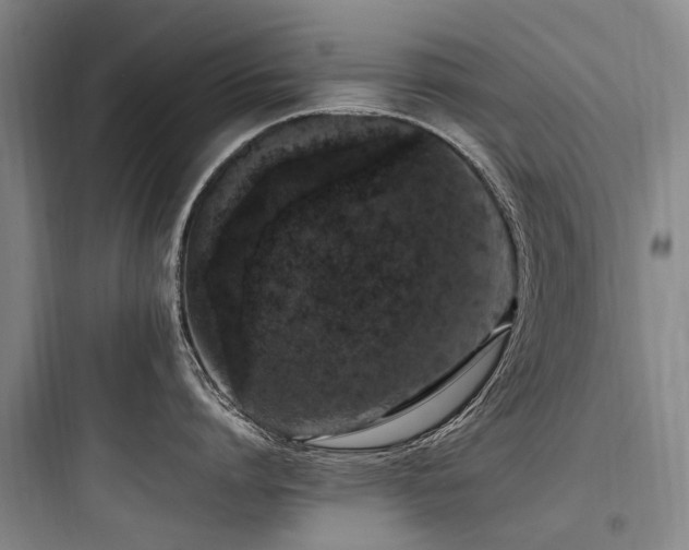 X0000097980864200803241258