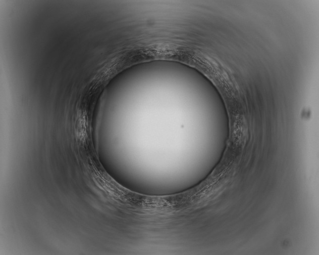 X0000097980866200803241257