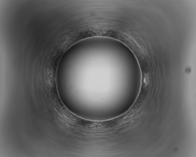 X0000097980867200803241257