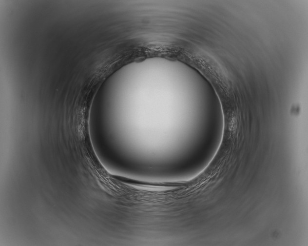 X0000097980868200803241257
