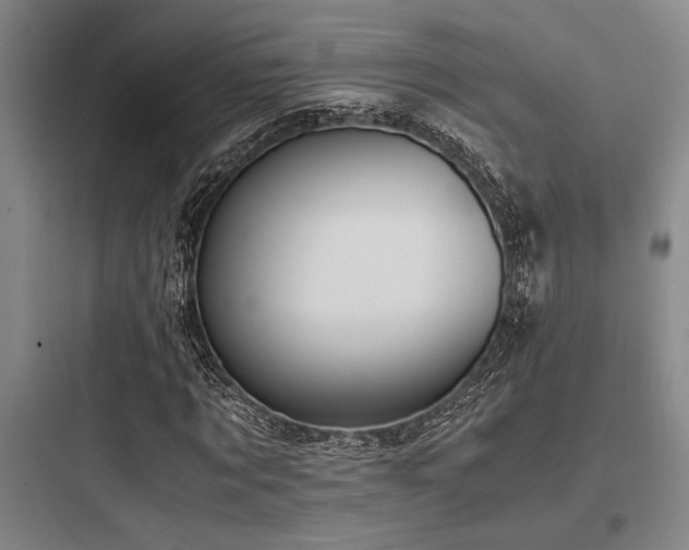 X0000097980869200803241257