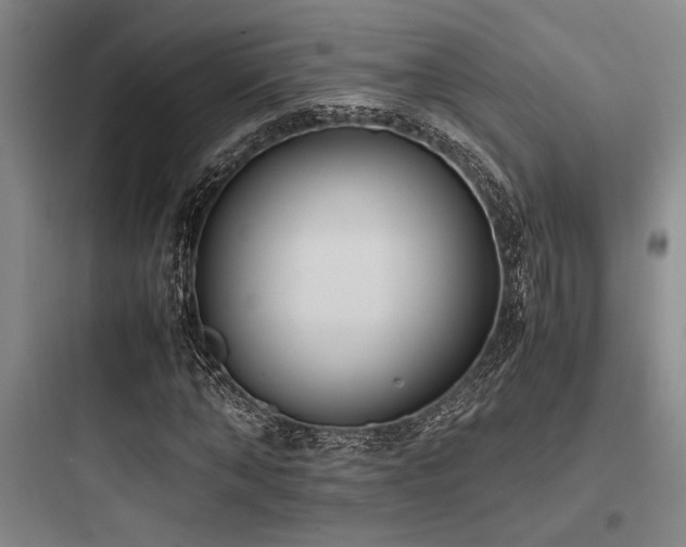 X0000097980870200803241257