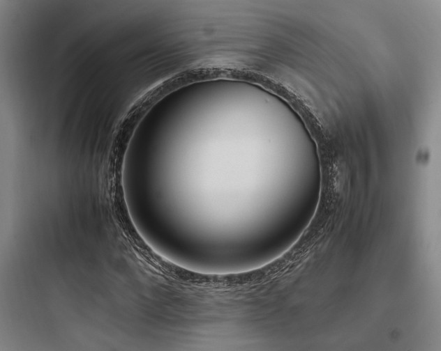 X0000097980872200803241257