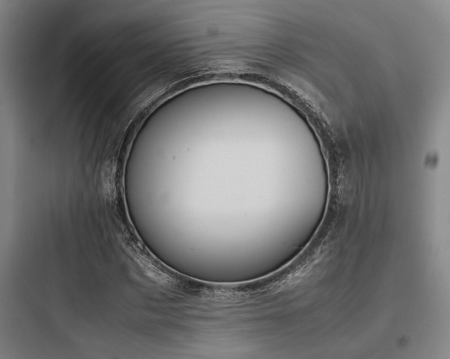 X0000097980873200803241257