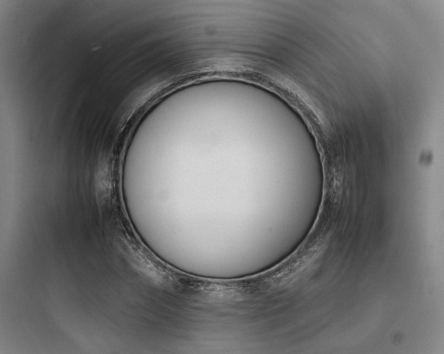 X0000097980874200803241257