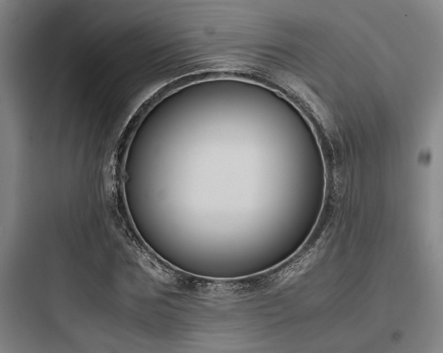 X0000097980875200803241257