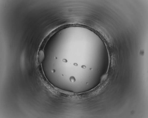 X0000097980876200803241257