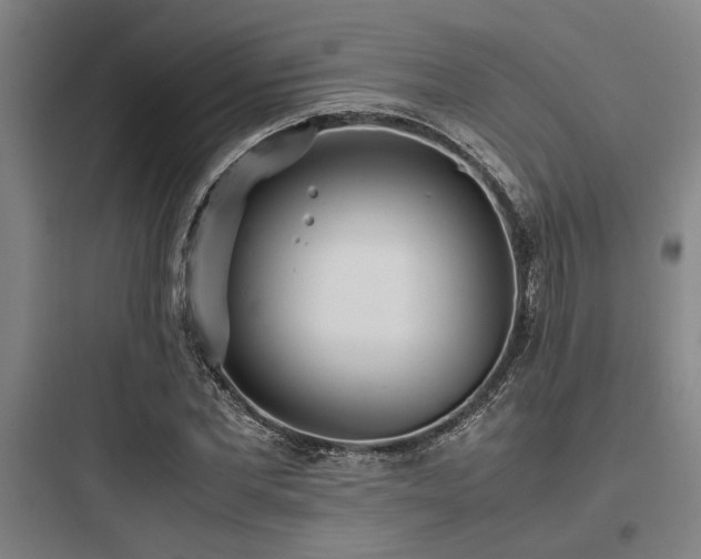 X0000097980877200803241257