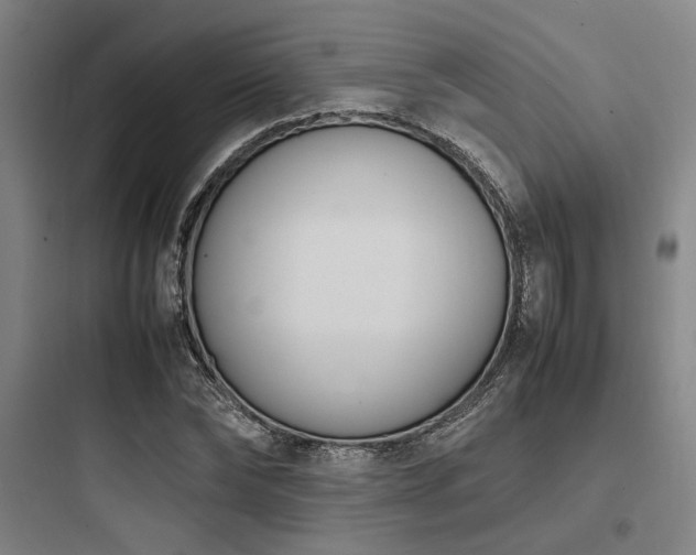 X0000097980878200803241257