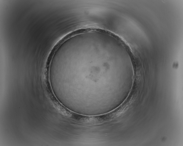 X0000097980879200803241257