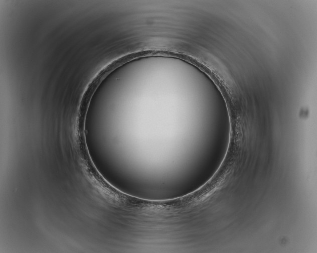 X0000097980880200803241257