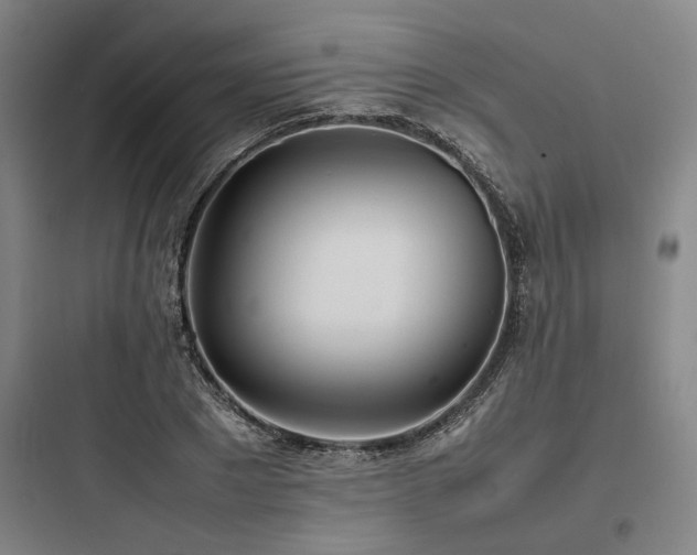 X0000097980881200803241257