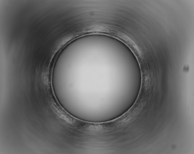 X0000097980882200803241257