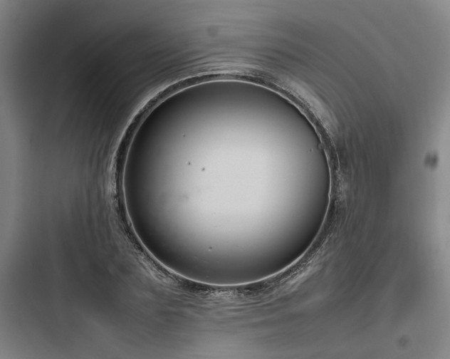 X0000097980883200803241257