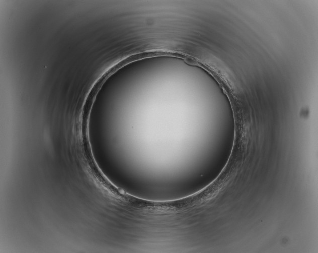 X0000097980884200803241257