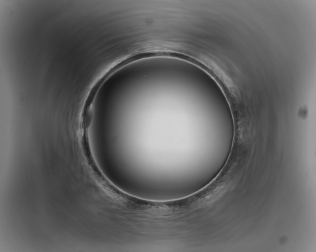 X0000097980885200803241257
